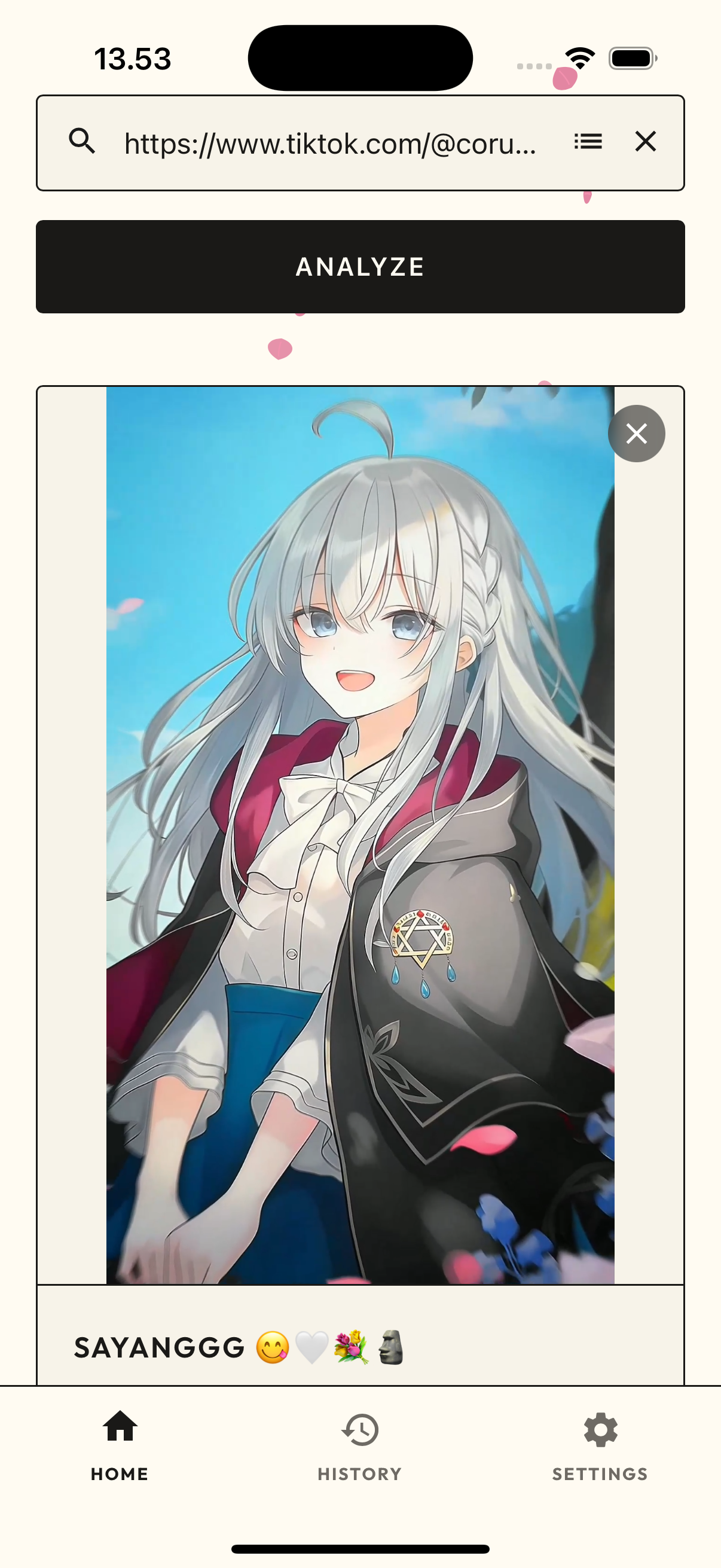 Mori media preview card with download action after analyze